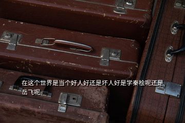 在這個世界是當(dāng)個好人好還是壞人好是學(xué)秦檜呢還是岳飛呢