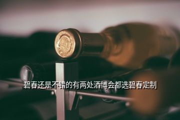 碧春還是不錯(cuò)的有兩處酒博會(huì)都選碧春定制