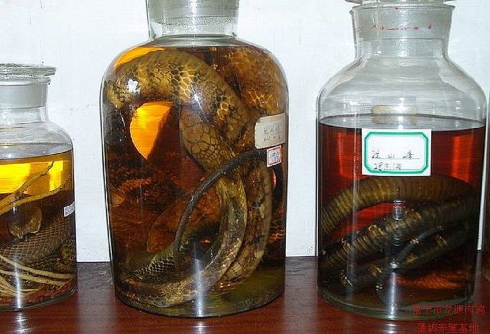 藥酒用什么酒泡好，泡藥酒必看